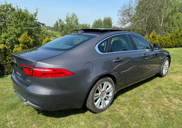 Jaguar XF cena 48900 przebieg: 70382, rok produkcji 2016 z Szczecinek małe 667